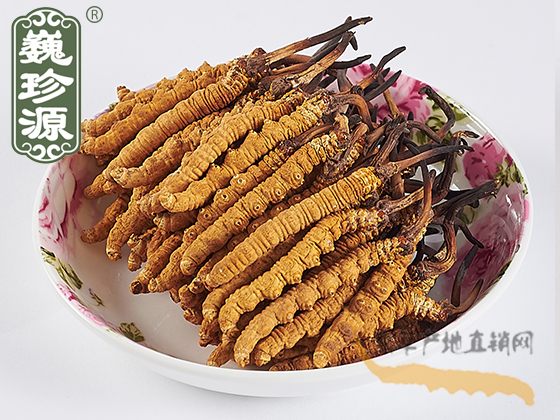 �������x�Ĳ��^��,Ʒ�|(zh��)����s���x��,��(y��u)������s�ඬ�x�Ĳݵ������x���^��